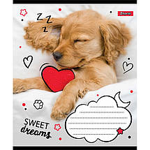 Зошит 18 арк. клітинка "1 Вересня" / "Sweet dreams", фото 4