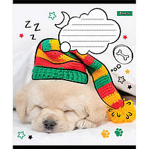 Зошит 18 арк. клітинка "1 Вересня" / "Sweet dreams", фото 3