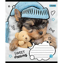 Зошит 18 арк. клітинка "1 Вересня" / "Sweet dreams", фото 5
