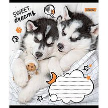 Зошит 18 арк. клітинка "1 Вересня" / "Sweet dreams", фото 2