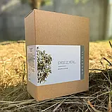 Drezydil (Дрезіділ) капсули при схильності до підвищеної пітливості, фото 4