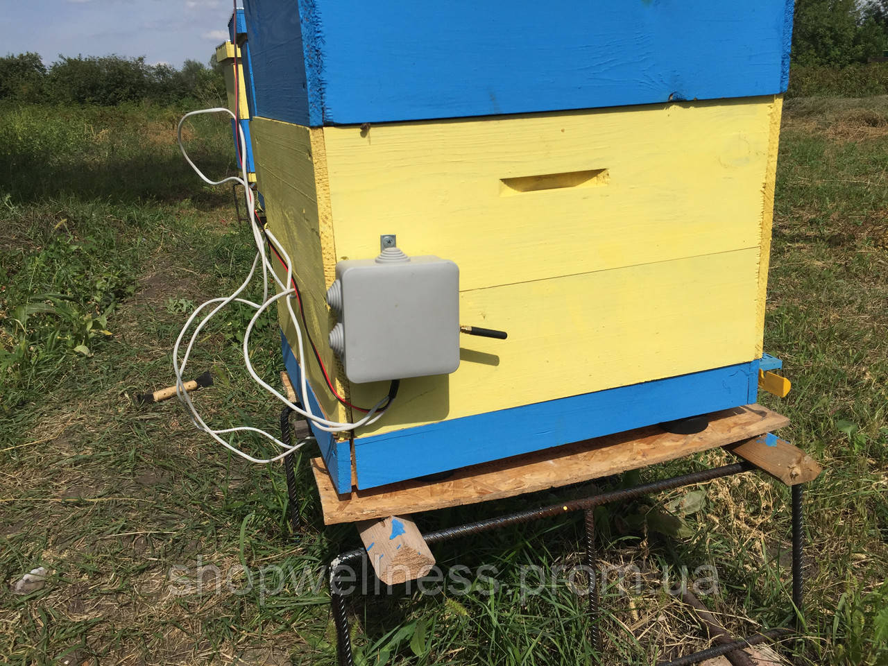 Ваги пасечные з GSM модулем і сонячною батареєю