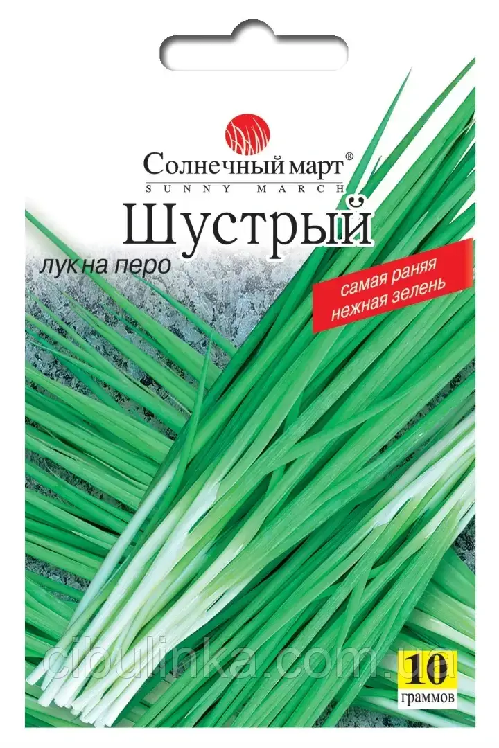 Насіння Цибуля Спритний (на зелень) Сонячний Березень, 10 г