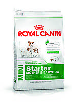 Royal Canin Mini Starter 20 кг Роял Канин для щенков малых пород до 2 месяцев, беременных и кормящих сук