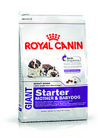 Royal Canin Giant Starter 18 кг для щенков до 2 месяцев, беременных и кормящих сук