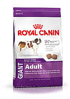 Royal Canin Giant Adult 20 кг для взрослых собак гигантских пород