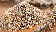 Fresh wheat bran for sale