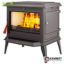Піч камін чавунна KAWMET Premium ATHENA (12,3 kW) EKO, фото 4