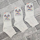 Шкарпетки дитячі весна/осінь середні р.5 (14-16) білі ажурні LAKELAND Туреччина 30036072, фото 2