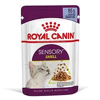 Влажный корм Royal Canin Sensory Smell Jelly для кошек привередливых к аромату, кусочки в желе, 85 г.