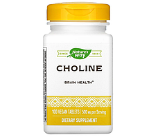 Choline 500 mg Nature's Way, 100 таблеток