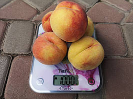 Саджанці персика Канадіан Хармоні