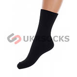 Носкі Жітомир чоловічі класика 42-45 бавовни 90%, фото 2