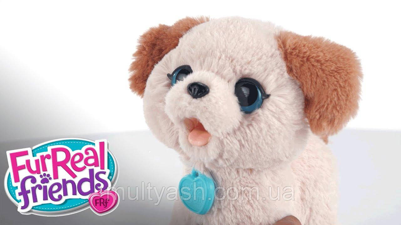 FurReal Friends Pax My Poopin Pup Hasbro