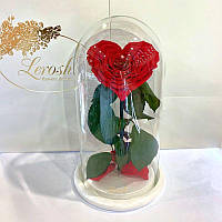 Роза в колбе Lerosh вечная роза в форме сердца на белой подставке красная 27 см. 830131