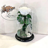 Роза в колбе стабилизированная Lerosh под стеклянным куполом белая 27 см. 830107
