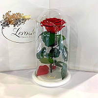 Роза в колбі стабілізована Lerosh під скляним куполом червона на білій поставці 27 см. 830129