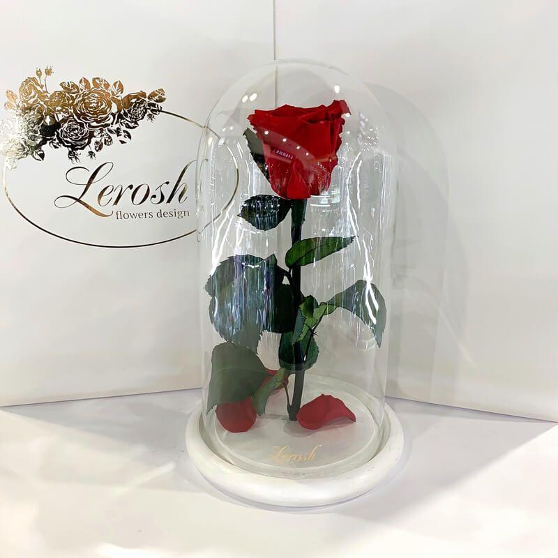 Стабілізована троянда Lerosh під скляним куполом на білій поставці червона 27 см. 830132