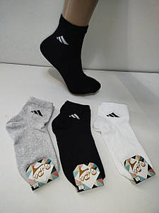 Шкарпетки підліткові стрейч спортивні (Демісезонні) Варос