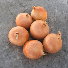 Насіння ріпчастої цибулі Седона F1 (Sedona F1) Bejo 250000