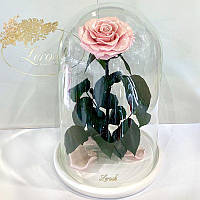 Роза в колбе Lerosh под стеклянным куполом розовая жемчужная 33 см. 830165