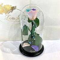 Роза в стеклянной колбе Lerosh вечная роза разноцветная 27 см. 830136