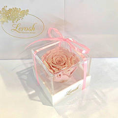 Стабілізована троянда Lerosh бутон троянди в подарунковій коробці рожевий 8x8x8 см. 830183