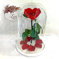 Стабилизированная роза Lerosh в колбе в форме сердца на белой подставке красная 33 см. 830176