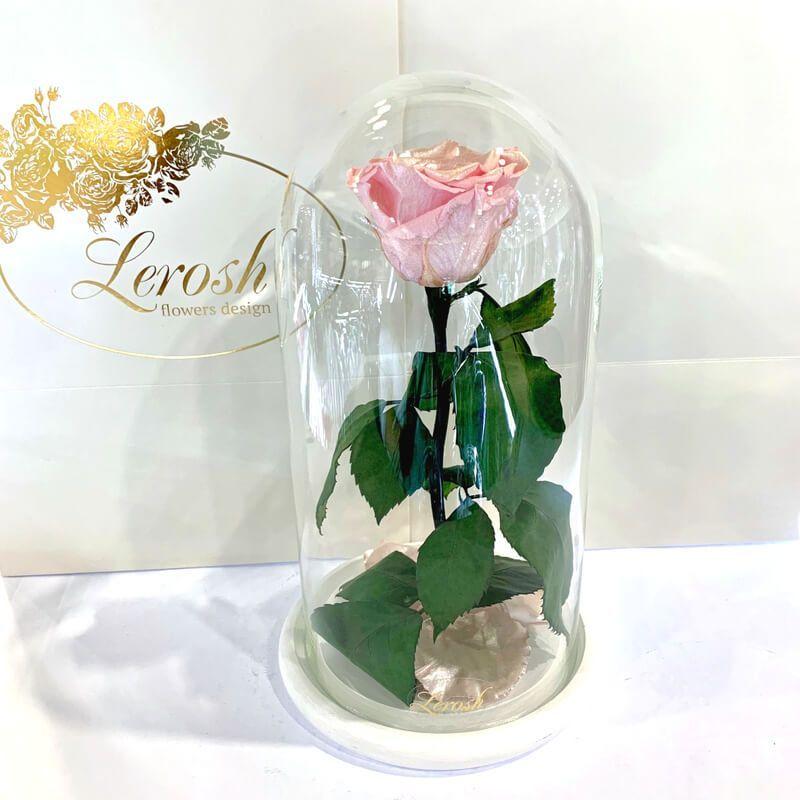 Стабілізована троянда Lerosh вічна троянда рожева 27 см. 830138