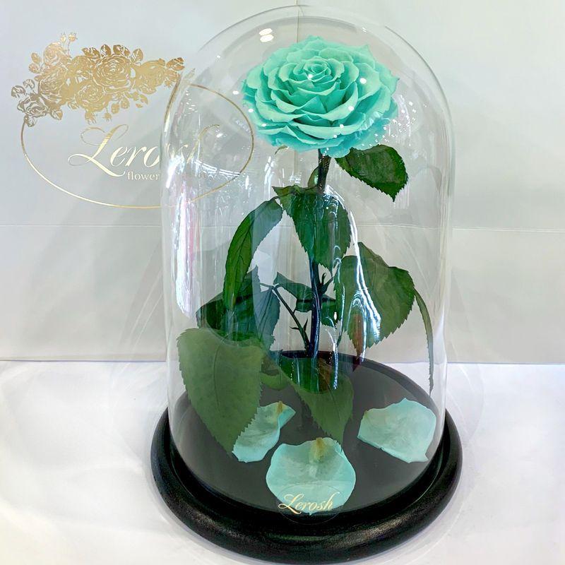 Стабілізована троянда Lerosh під скляним куполом бірюзова 33 см. 830151