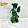 Стабілізована троянда Lerosh під скляним куполом зелена 27 см. 830148, фото 3