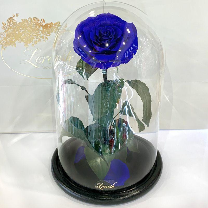 Стабілізована троянда Lerosh під скляним куполом синя 33 см. 830168