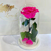 Стабилизированная роза Lerosh под стеклянным куполом ярко-розовая фуксия на белой подставке 27 см. 830130