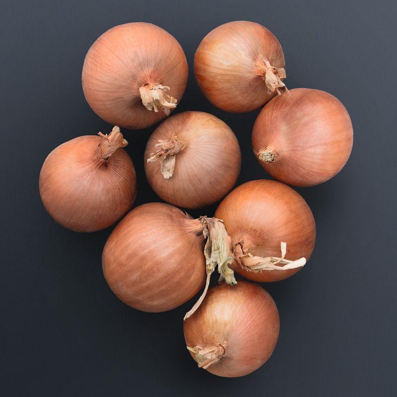 Насіння ріпчастої цибулі Сонома F1 (Sonoma F1) Bejo 250000