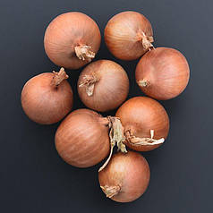 Насіння ріпчастої цибулі Сонома F1 (Sonoma F1) Bejo 250000