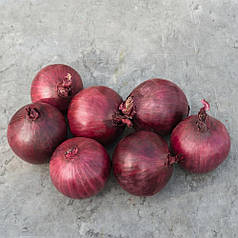 Насіння ріпчастої червоної цибулі Робін (Robin) Bejo 250000