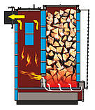 Промисловий котел Zubr Termo, фото 6