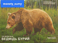 Чорнобиль. Відродження. Ведмідь бурий у сувенірній упаковці 5 гривень 2022 року