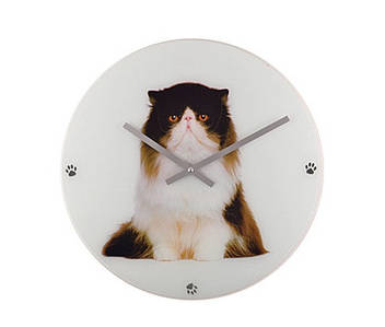 Настінний годинник "Котофей" 8138* — ø43 см