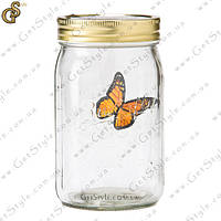 Игрушка "Бабочка в банке" - "Butterfly"
