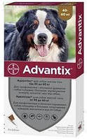 Bayer Advantix для собак от 40 до 60 кг, 1 пипетка