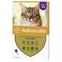 Bayer Advocate для котів від 4 до 8 кг, 1 піпетка