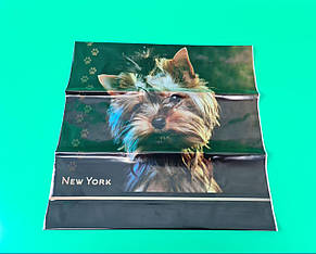 Поліетиленовий пакет (40х40) з пластиковою ручкою "Йорк" без ручки (10 шт.)