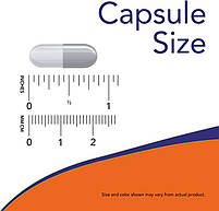 Корінь лопуха (Burdock Root) NOW Foods, 430 мг 100 капсул, фото 4