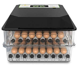 Професійні інкубатори