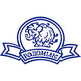 Сметана 20% жирності 0.5кг, ТМ Радомілк, фото 2