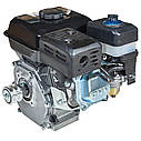 Двигун бензиновий Vitals GE 6.0-19kp 6 к.с., 196 см3, шпоночний вал, діаметр 19.05 мм, ручний стартер, фото 4