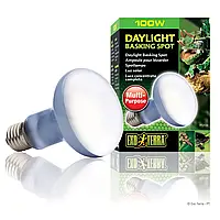 Лампа розжарювання з неодимовою колбою Exo Terra «Daylight Basking Spot» 100 W, E27 (для обігріву)