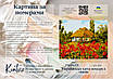Картина за номерами Kontur 40×50 см. Українська хата посеред маків DS0422, фото 4