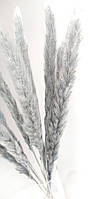 Сухоцвет натуральный крашеный Мини Пампас Серый